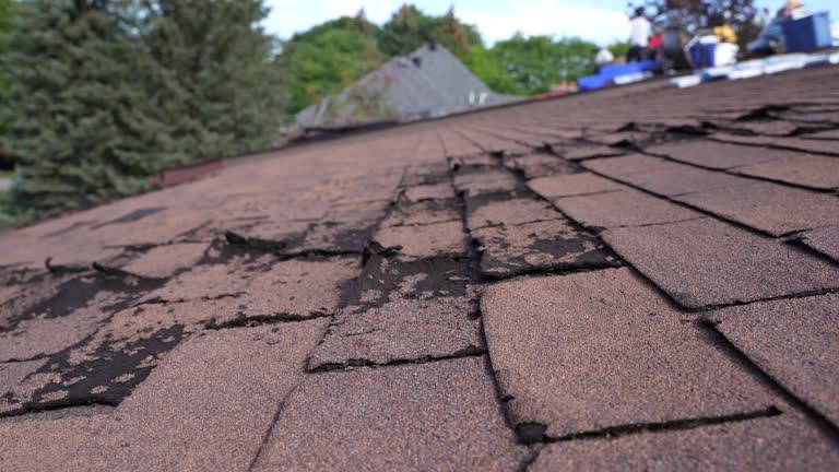 Best Emergency Roof Repair Services  in Woodland Beach, MI