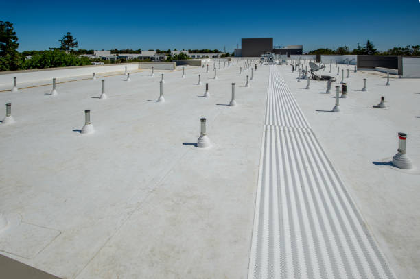 Best Roof Maintenance and Cleaning  in Woodland Beach, MI